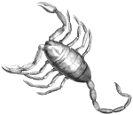 scorpius by US Naval Observatory and Space Telescope Science Institute&nbsp;v2