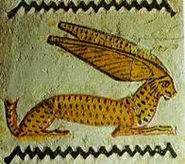 egyptian hare