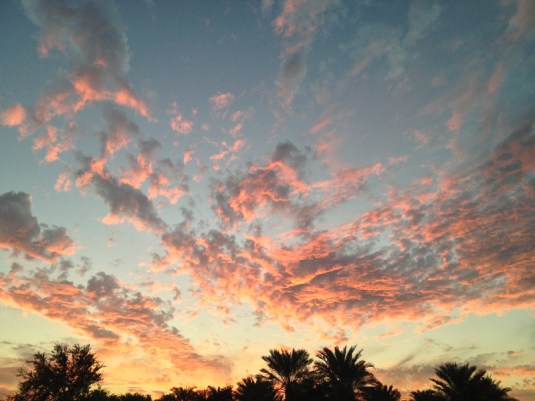 last sunset 2012 Bahrain palm tress