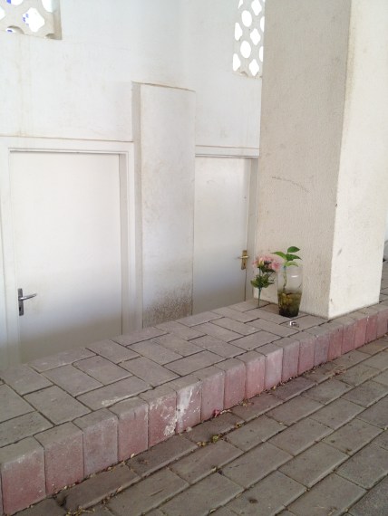 trying to bring beauty into life