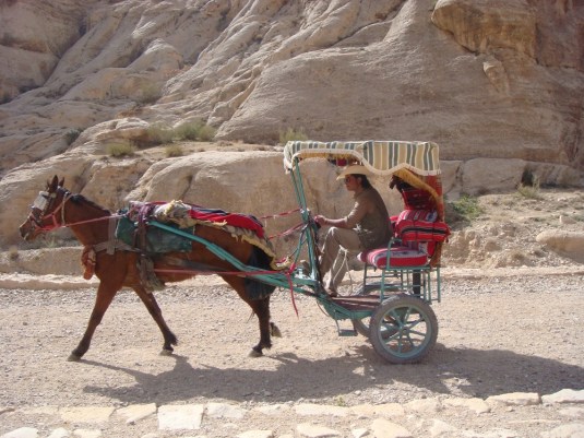Horse drawn carriage in Jordan by Eva the Dragon 2009