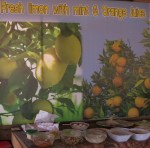 fresh limon with mint from haroun orchard petra&nbsp;jordan