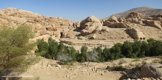 Entrance Road to Siq