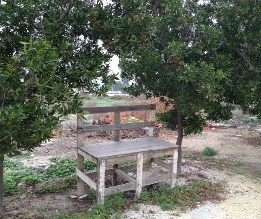 majlis one bench by side of the road by eva the dragon