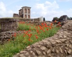 Palantine Hill Rome by eva the dragon&nbsp;2013